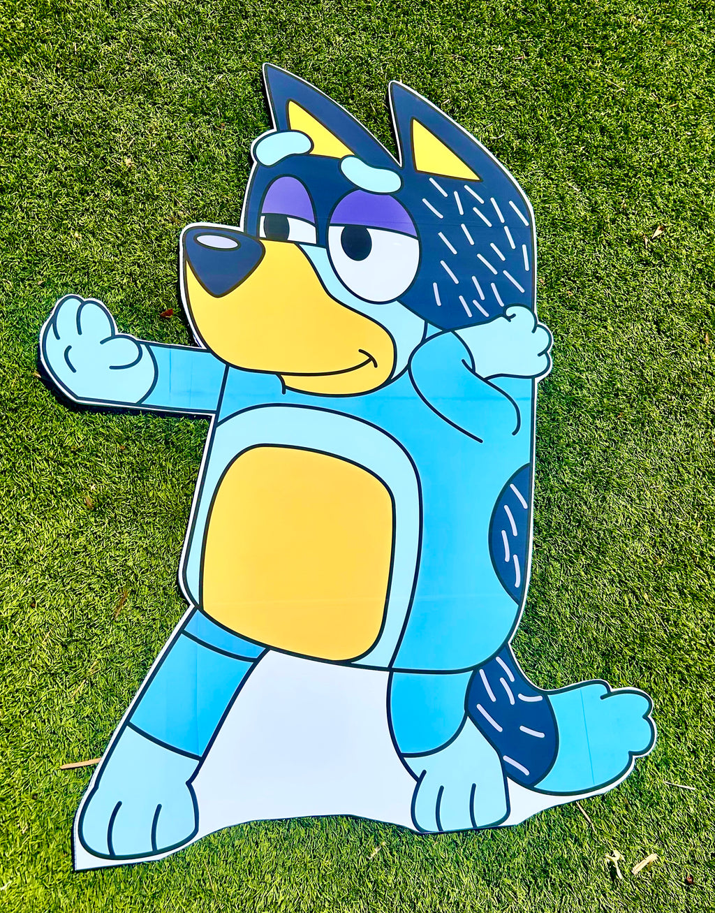 Bluey family